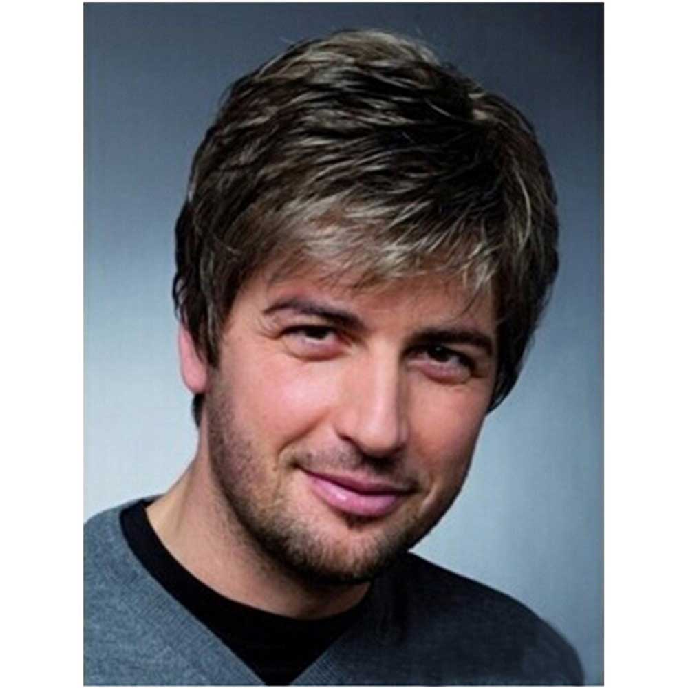 Black mixed Silver White Natural Straight Side Part Short Wig Black mixed Silver White Natural Straight Side Part Short Wig