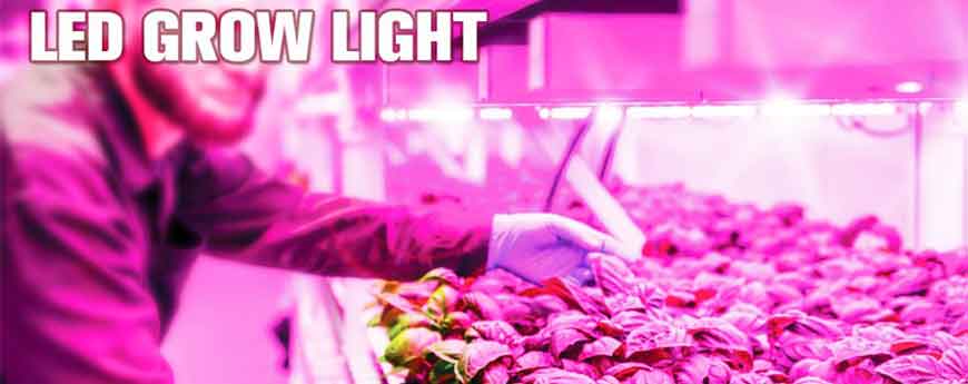 Buy led grow lights Buy led grow lights